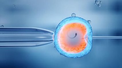 海西第三代试管婴儿的费用，大概多少钱？