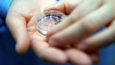 2026郑州民间试管机构成功率明细