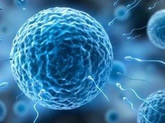 2026年想去凯里市做试管婴儿需要准备哪些事？详细收费明细一览