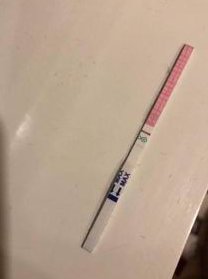 33岁amh0.19做试管婴儿成功率多少？要看基础卵泡数量