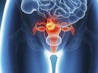 河南郑州做试管婴儿大概需要多少钱？推荐试管医院？