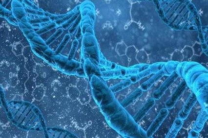 2026赤峰市最新男性陪产假有多少天？试管婴儿可以增加产假吗？