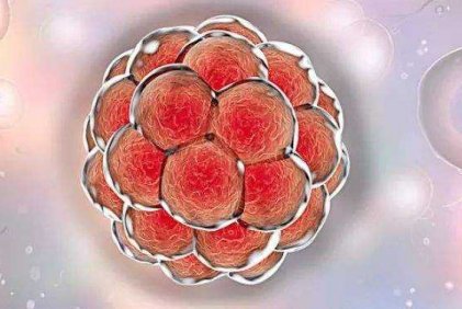 试管促排出现子宫内膜分离有没有改善方法？