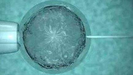 大连首例成功试管婴儿：提升试管婴儿成功与经验分享！